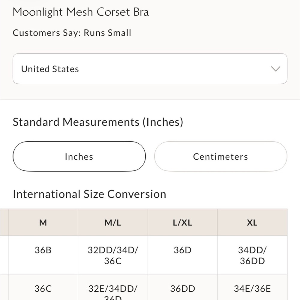 Free People Moonlight Mesh Corset Bra Bralette Black Size Large L 36C NWT - Picture 6 of 6